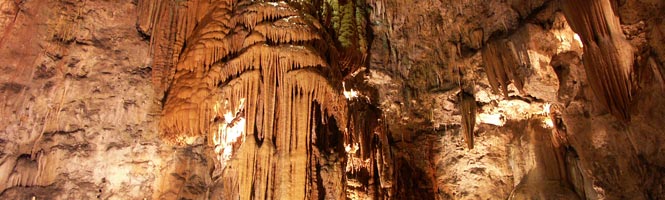 Cuevas de Valporquero - Museo de la Fauna