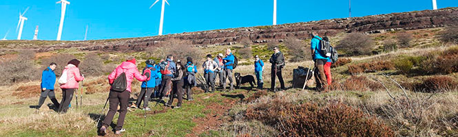 Paseo por la zona y Comida de Fin de Año