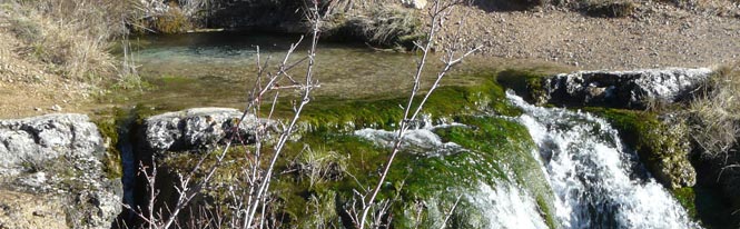 Fuente de Mana-Pites, Fuenteodra